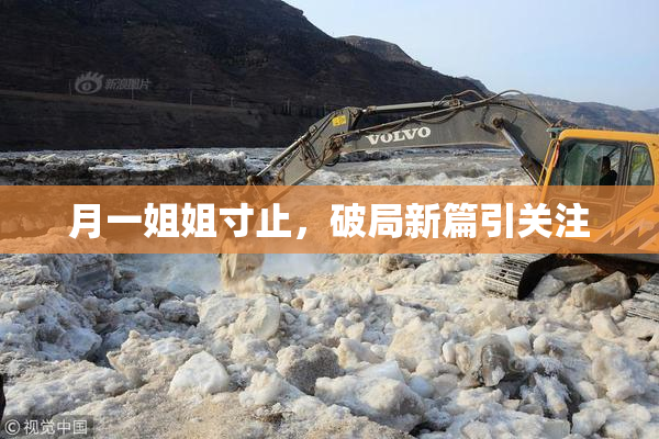 月一姐姐寸止，破局新篇引关注