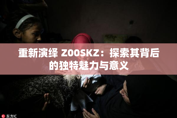 重新演绎 Z00SKZ：探索其背后的独特魅力与意义