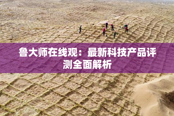 鲁大师在线观：最新科技产品评测全面解析