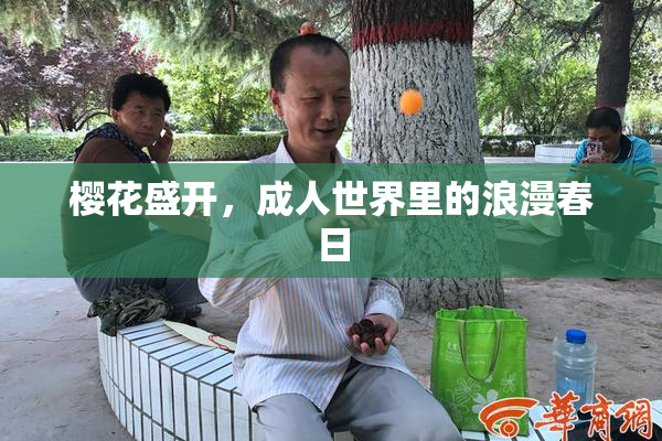 樱花盛开，成人世界里的浪漫春日