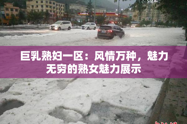 巨乳熟妇一区：风情万种，魅力无穷的熟女魅力展示