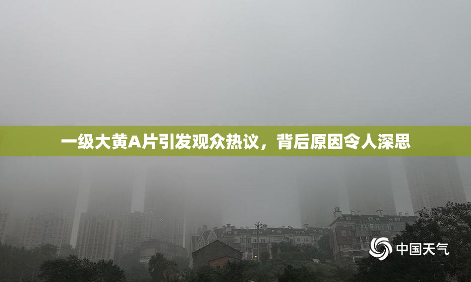 一级大黄A片引发观众热议，背后原因令人深思