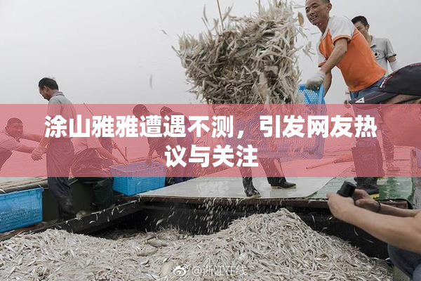 涂山雅雅遭遇不测，引发网友热议与关注