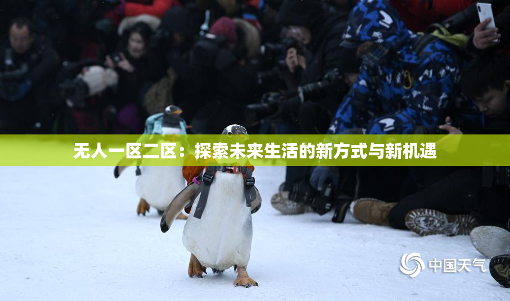 无人一区二区：探索未来生活的新方式与新机遇