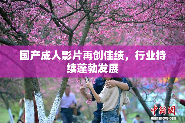 国产成人影片再创佳绩，行业持续蓬勃发展