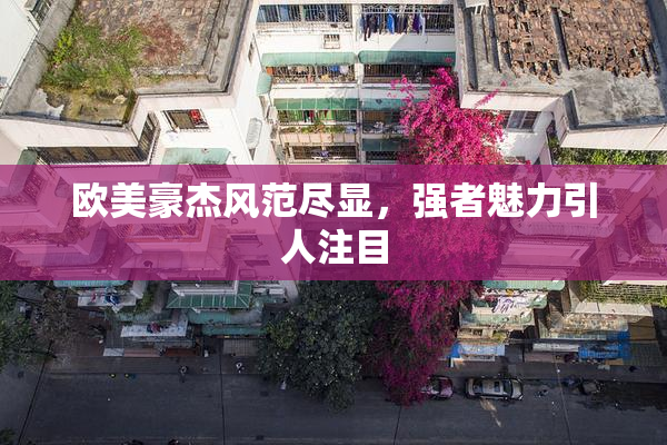 欧美豪杰风范尽显，强者魅力引人注目