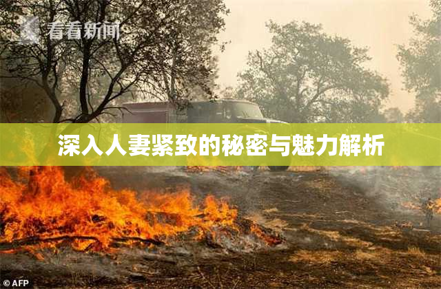 深入人妻紧致的秘密与魅力解析