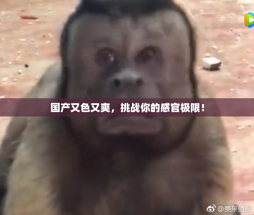 国产又色又爽，挑战你的感官极限！