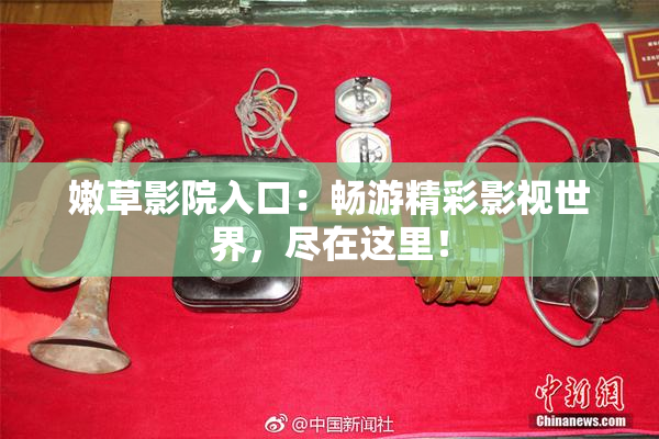 嫩草影院入口：畅游精彩影视世界，尽在这里！