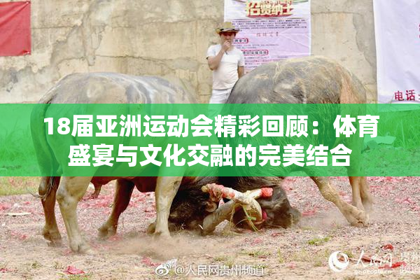 18届亚洲运动会精彩回顾：体育盛宴与文化交融的完美结合