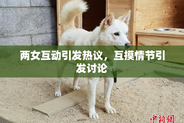 两女互动引发热议，互摸情节引发讨论
