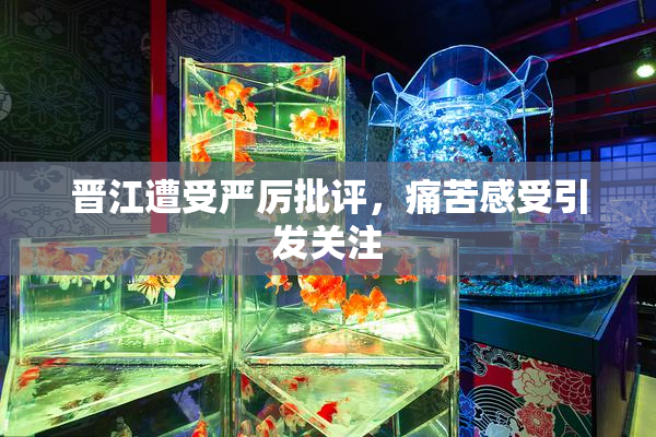 晋江遭受严厉批评，痛苦感受引发关注
