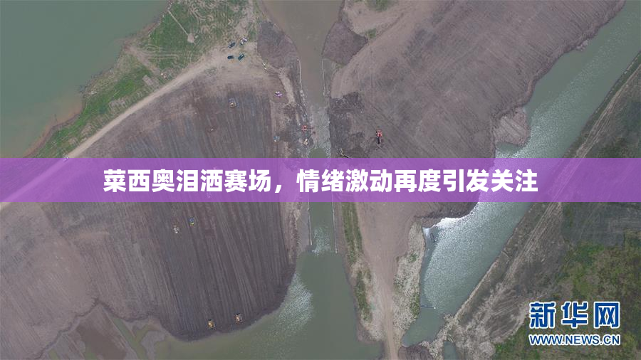 菜西奥泪洒赛场，情绪激动再度引发关注