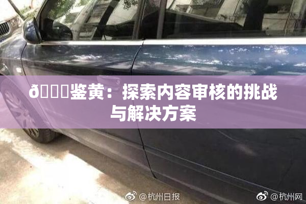 🔞鉴黄：探索内容审核的挑战与解决方案