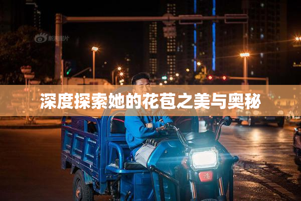 深度探索她的花苞之美与奥秘