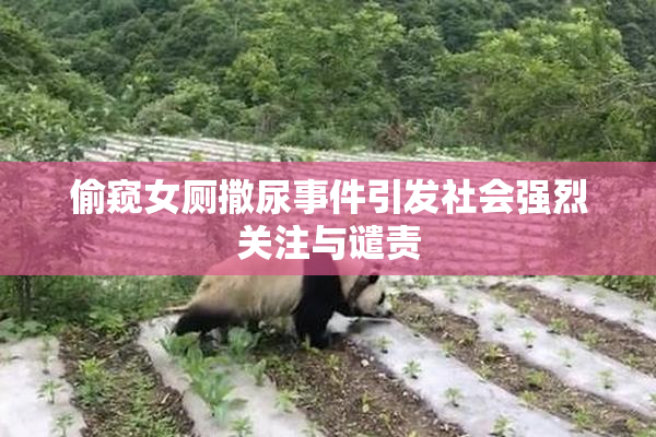 偷窥女厕撒尿事件引发社会强烈关注与谴责