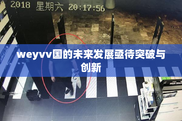 weyvv国的未来发展亟待突破与创新