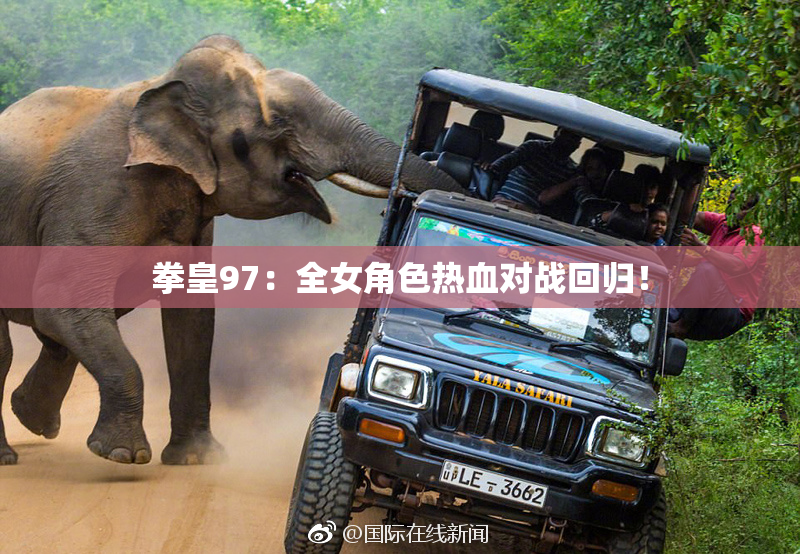 拳皇97：全女角色热血对战回归！