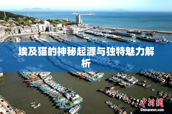 埃及猫的神秘起源与独特魅力解析