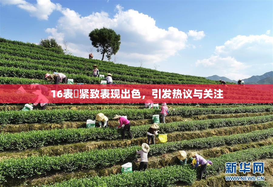 16表妺紧致表现出色，引发热议与关注