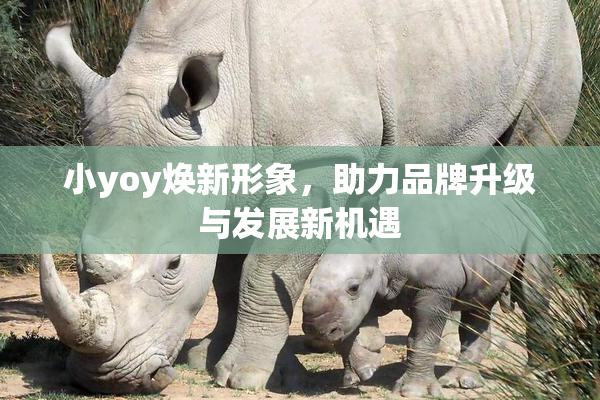 小yoy焕新形象，助力品牌升级与发展新机遇