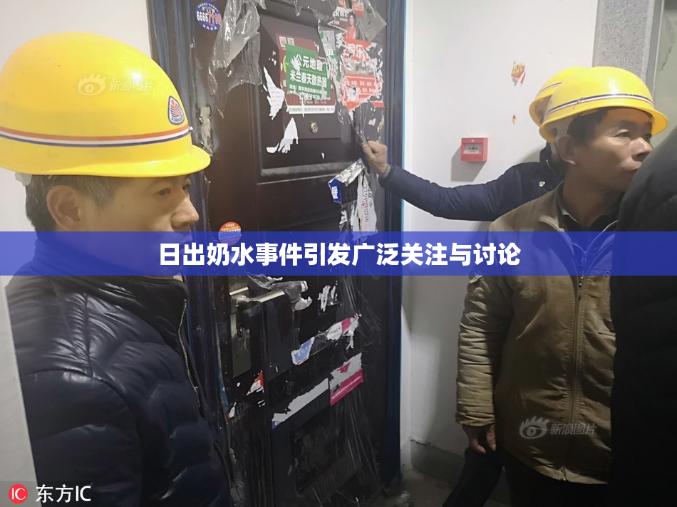 日出奶水事件引发广泛关注与讨论