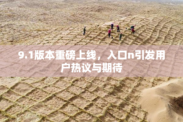 9.1版本重磅上线，入口n引发用户热议与期待