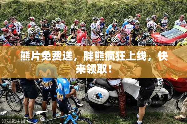 熊片免费送，胖熊疯狂上线，快来领取！