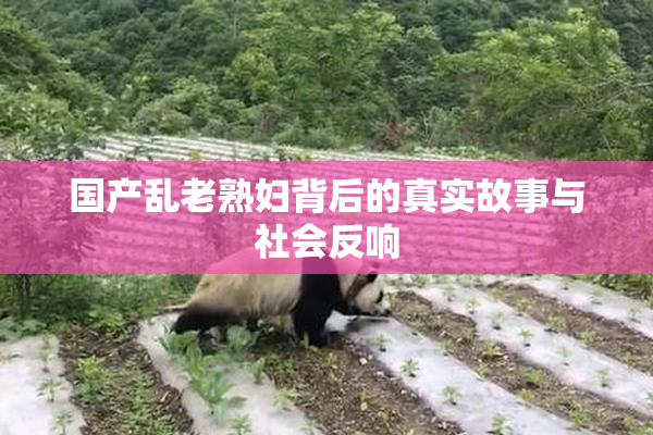 国产乱老熟妇背后的真实故事与社会反响