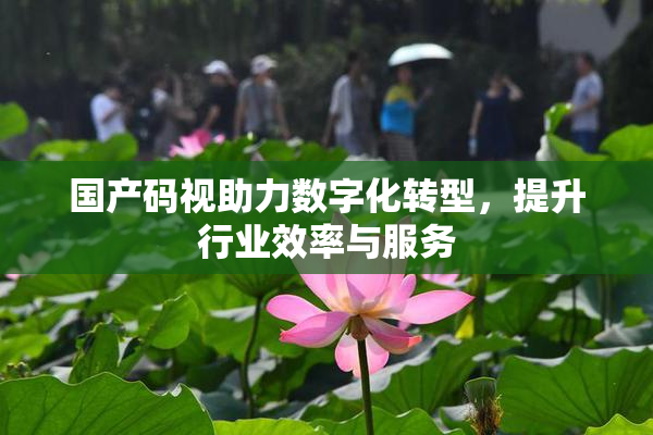 国产码视助力数字化转型，提升行业效率与服务