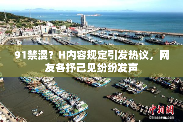 91禁漫？H内容规定引发热议，网友各抒己见纷纷发声