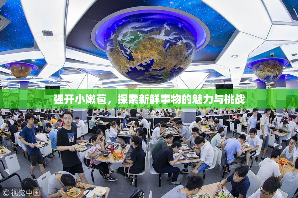 强开小嫩苞，探索新鲜事物的魅力与挑战
