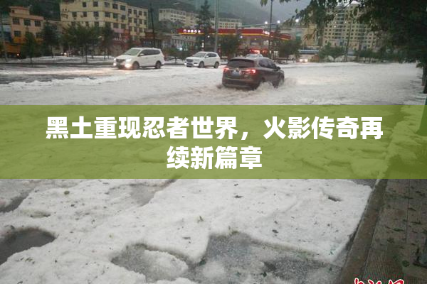 黑土重现忍者世界，火影传奇再续新篇章