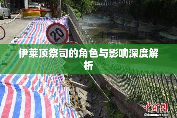 伊莱顶祭司的角色与影响深度解析
