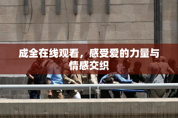 成全在线观看，感受爱的力量与情感交织