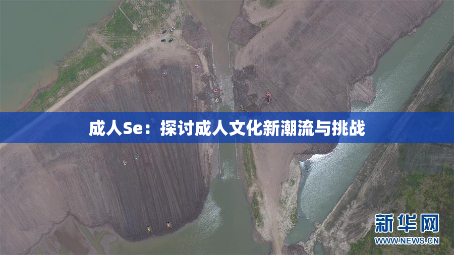 成人Se：探讨成人文化新潮流与挑战