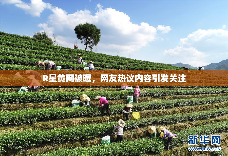 R星黄网被曝，网友热议内容引发关注