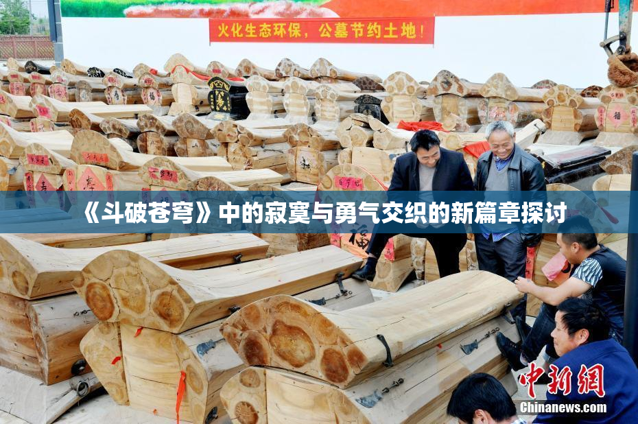 《斗破苍穹》中的寂寞与勇气交织的新篇章探讨