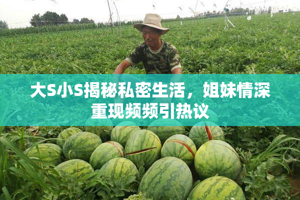 大S小S揭秘私密生活，姐妹情深重现频频引热议