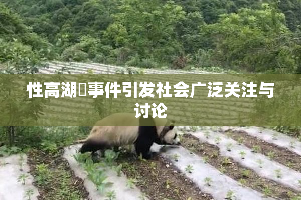 性高湖婬事件引发社会广泛关注与讨论