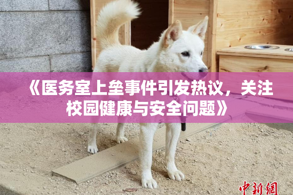 《医务室上垒事件引发热议，关注校园健康与安全问题》