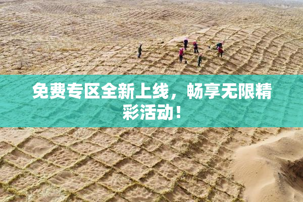 免费专区全新上线，畅享无限精彩活动！