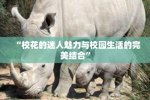 “校花的迷人魅力与校园生活的完美结合”