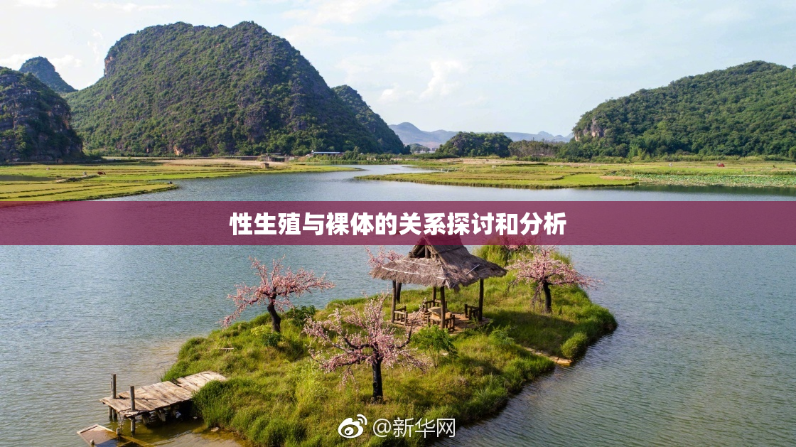 性生殖与裸体的关系探讨和分析