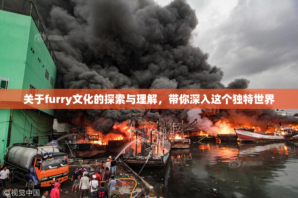 关于furry文化的探索与理解，带你深入这个独特世界