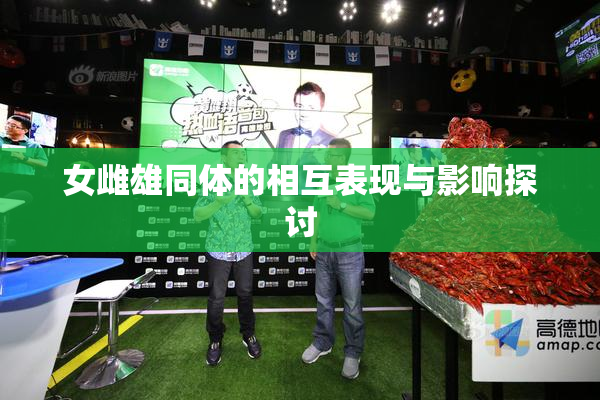 女雌雄同体的相互表现与影响探讨
