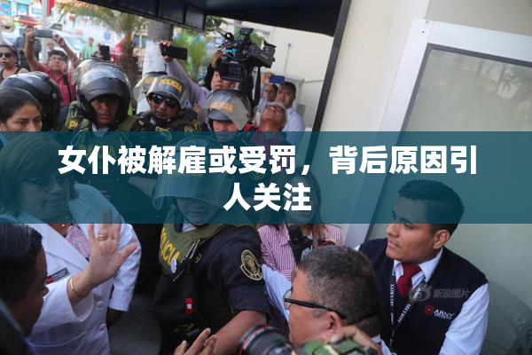 女仆被解雇或受罚，背后原因引人关注