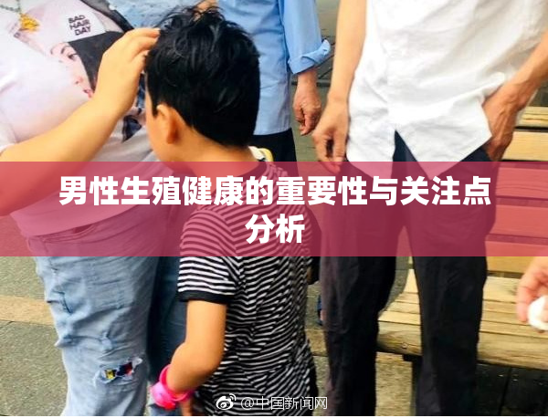男性生殖健康的重要性与关注点分析