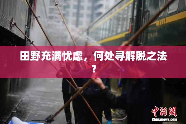 田野充满忧虑，何处寻解脱之法？