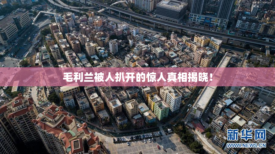 毛利兰被人扒开的惊人真相揭晓！